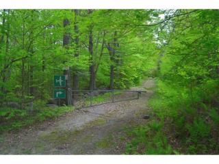 189 Sargent Hill Rd, Grafton, NH 03240-3816