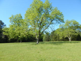 513 Byron Plantation Rd, Albany, GA 31721-9178