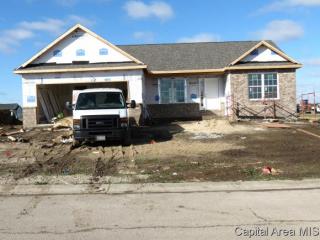 1835 Prairie Vista Dr, Chatham, IL 62629-5092