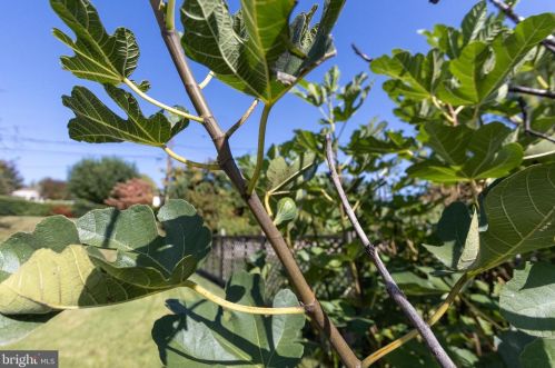 426 Holiday Dr, Aberdeen MD  21001-1813 exterior