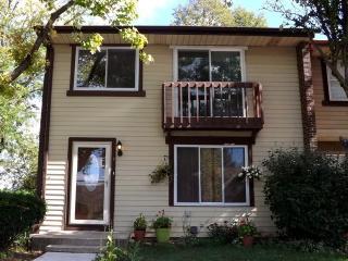 1 Dan Ireland Dr, Plainfield, IL 60544-9441