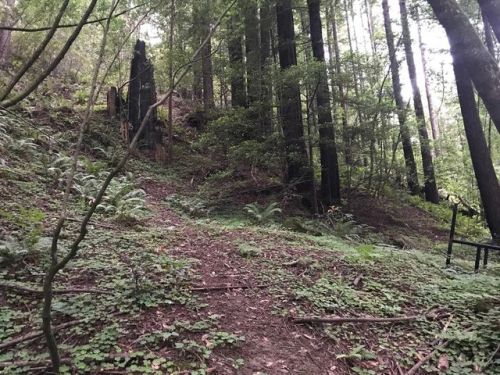 925 Cazadero Hwy, Cazadero, CA 95421-9717