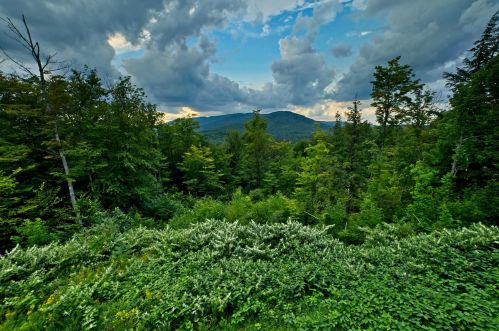 82 Loft Cir, Ellsworth, NH 03223-4131