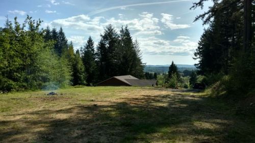 175 Wallace Rd, Napavine, WA 98532-8651