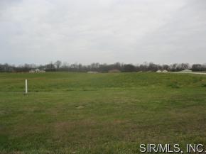 8698 Saint Leos Rd, Redbud, IL 62278-2638