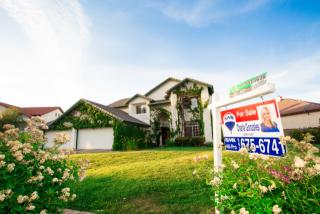 7337 Ojai Dr, Palmdale, CA 93551-4722