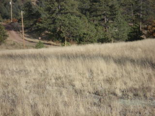 137 Pikeview Ln, Twin Rock, CO 80816-8601