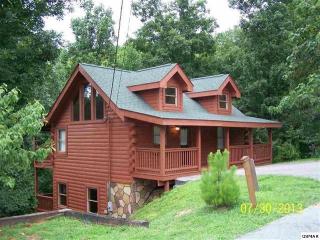 3213 Bear Country Way, Pigeon Forge, TN 37876-6580