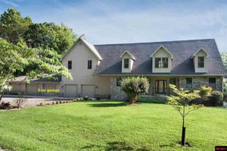 191 Riverview Ln, Rea Valley, AR 72634-8067