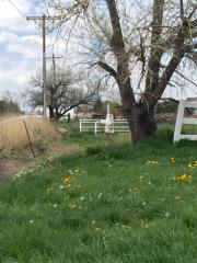 16031 Yosemite St, Denver, CO