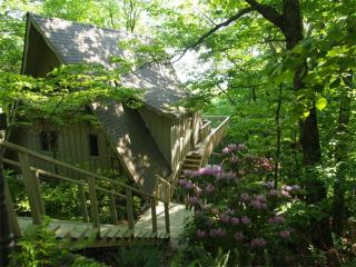 380 Thunder Rdg, Big Canoe, GA 30143-5620