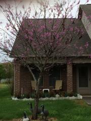 1218 Ernest Mcmahan Rd, Pigeon Forge, TN 37862-6011
