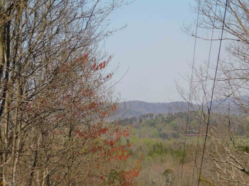 461 Amys Ford Trl, Cleveland, GA 30528-3603