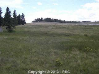 193 Joshua Rd, Divide, CO 80814-9253
