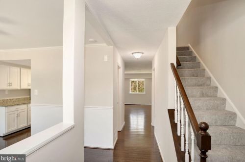 6055 Bonnie Bern Ct, Springfield, VA 22015-3365