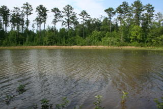 1325 Buckhead Rd, Tignall, GA 30668-4229