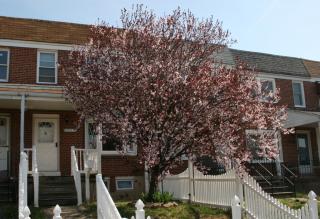 959 Elton Ave, Baltimore MD  21224-3320 exterior