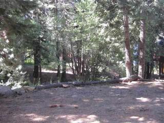 12841 Dulzura St, Truckee, CA 96161-5036