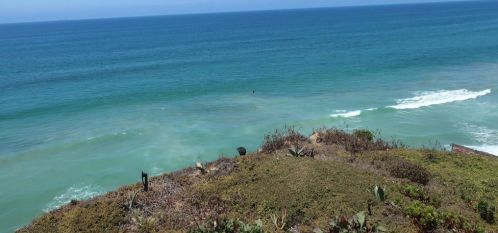 224 Neptune Ave, Encinitas, CA 92024-2518