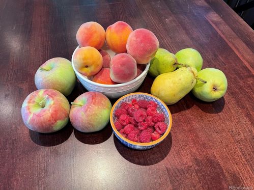 7640 Phillips Cir, Englewood CO 80112-3254 exterior