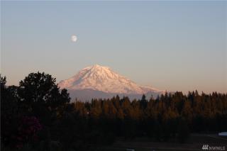 19622 82nd Street Ct, Sumner, WA 98391-8477