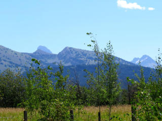 695 Leigh Canyon Rd, Alta, WY