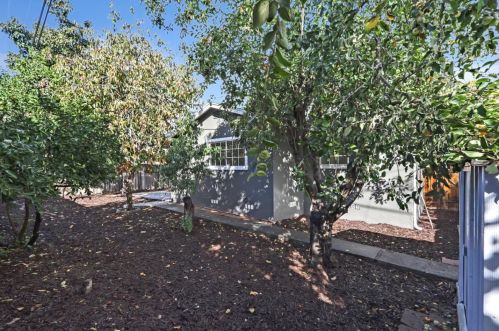 387 Smithwood St, Milpitas CA  95035-4126 exterior