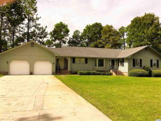 199 Live Oak Ln, Georgetown, SC 29440-6826