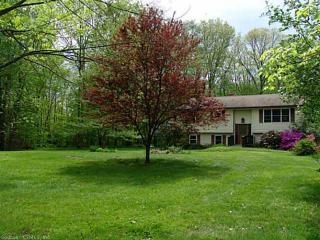 54 Cards Mill Rd, Columbia, CT 06237-1203