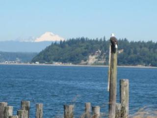 6206 Brighton Beach Rd, Maxwelton, WA 98236-9502