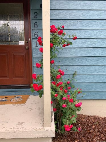 2661 Gaylord St, Denver CO  80205-4619 exterior