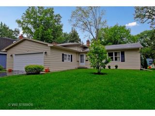 1513 Swallow St, Naperville IL  60565-1319 exterior