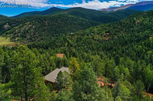 1180 Calcite Dr, Divide, CO 80814-7707
