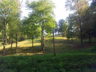 2940 Standing Eagle Way, Cosby, TN 37722-3148