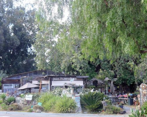 501 Quail Gardens Dr, Encinitas, CA 92024-2714