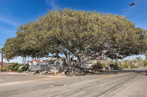 1602 California St, Oceanside, CA 92054-5555