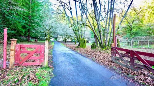 895 Hopkins Gulch Rd, Big Basin, CA 95006-9568