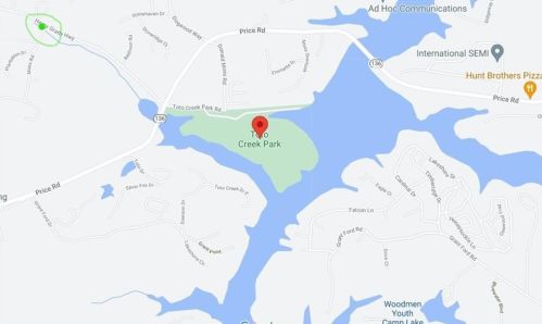 42 Moss Rd, Dawsonville, GA 30534-6312