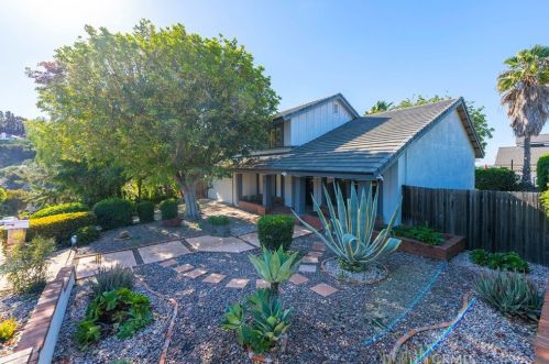 33931 Calle Borrego, San Juan Capistrano, CA 92675-5009