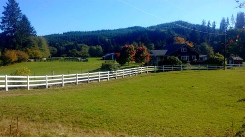 88 Midson Rd, Cosmopolis, WA 98537-9712