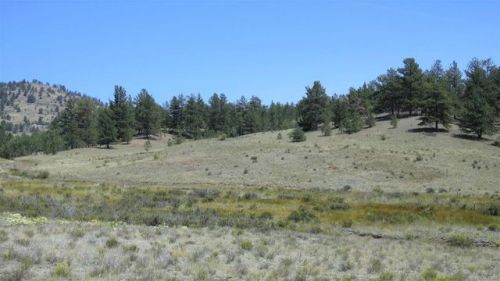 1514 County Rd 88, Guffey, CO 80820