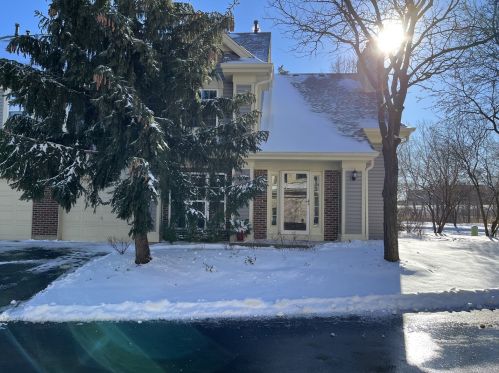 723 Deep Wood Ct, Elk Grove Vlg, IL 60007-7103