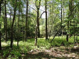 25 Gold Creek Rd, Sapphire, NC 28774-8615