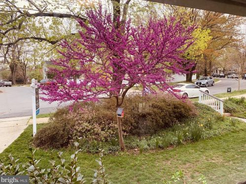 2233 Luzerne Ave, Silver Spring MD 20910-2135 exterior