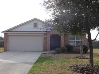 28803 Comal River Ct, Spring TX  77386-3113 exterior