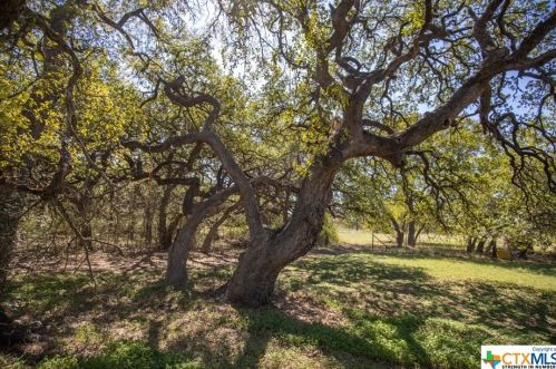 355 Bon Winde Rd, Georgetown, TX 78633-6665