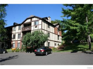 23 Essex Ct, Brookfield Center, CT 06804-2716