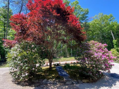 401 Rogers Creek Rd, Clarkesville, GA 30523-2659