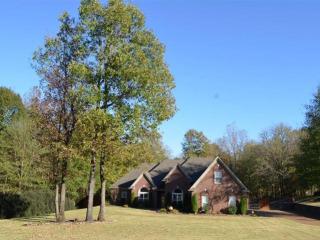 35 High Plains Cv, Eads, TN 38028-3189