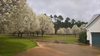 4615 Columbia Road 78, Magnolia AR  71753-8916 exterior